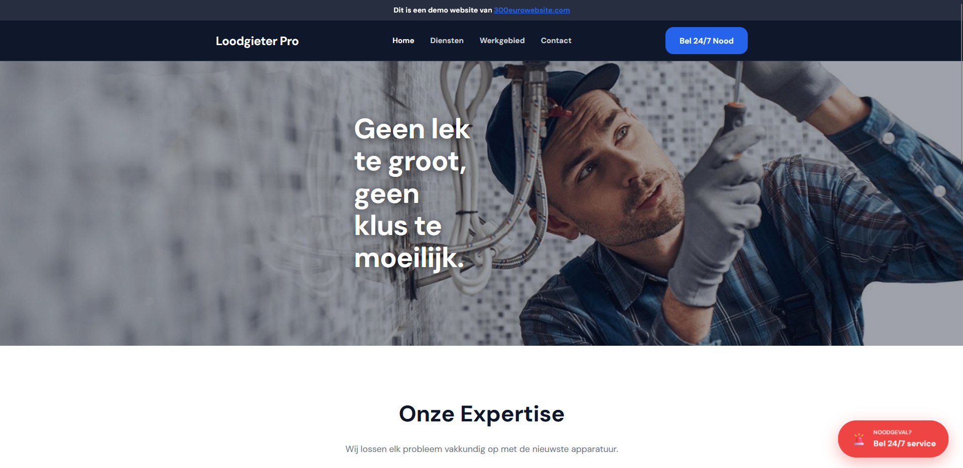 Voordelige domein inclusief website voor KMOs